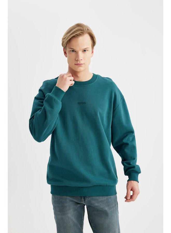 DeFacto Man Boxy Fit Crew Neck Long Sleeve Knitted Sweat Shirt  - Image 1