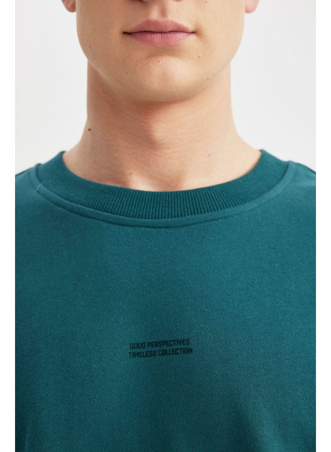 DeFacto Man Boxy Fit Crew Neck Long Sleeve Knitted Sweat Shirt  - Image 5