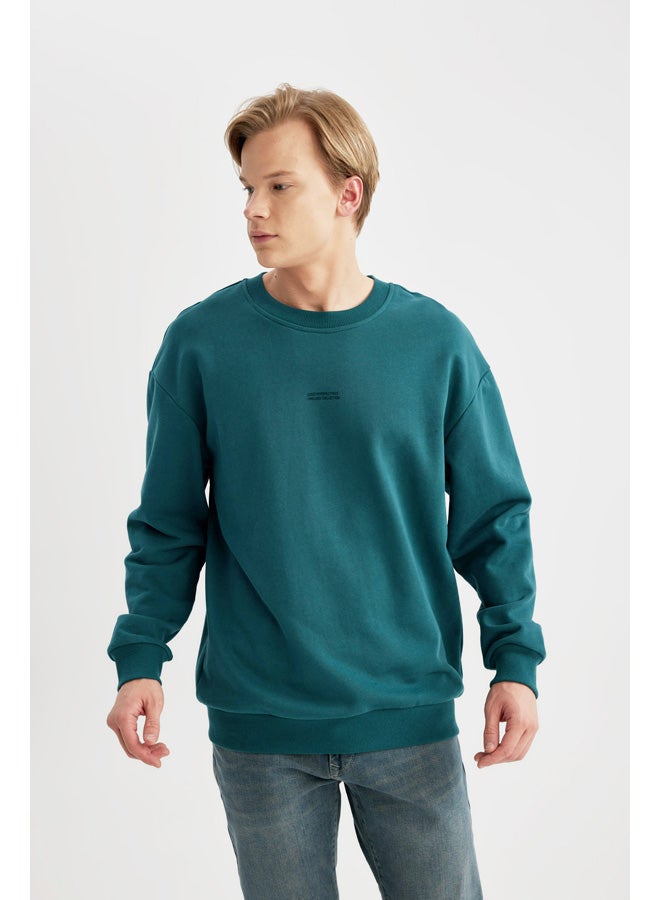 DeFacto Man Boxy Fit Crew Neck Long Sleeve Knitted Sweat Shirt  - Image 3