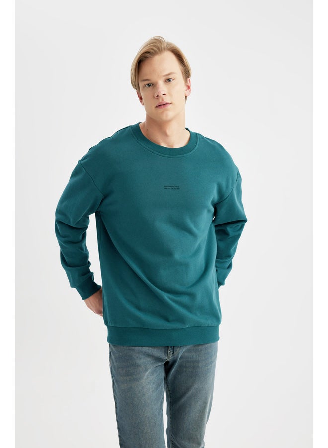DeFacto Man Boxy Fit Crew Neck Long Sleeve Knitted Sweat Shirt  - Image 2