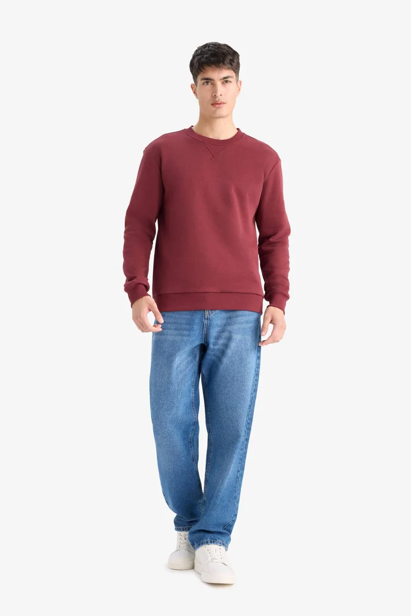 DeFacto Regular Fit Crew Neck Basic Thick Sweatshirt