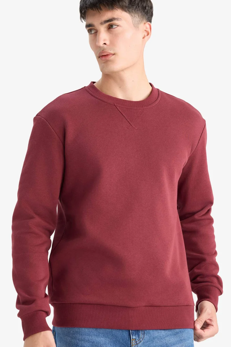 DeFacto Regular Fit Crew Neck Basic Thick Sweatshirt