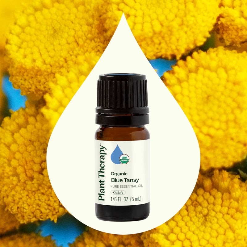 Plant Therapy Organic Blue Tansy Essential Oil 100% Pure, Undiluted, Natural Aromatherapy, Therapeutic Grade 5mL (1/6 oz) - Image 3