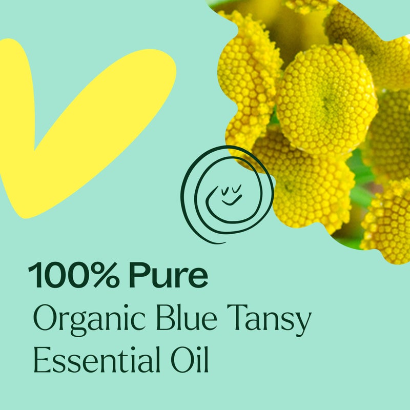 Plant Therapy Organic Blue Tansy Essential Oil 100% Pure, Undiluted, Natural Aromatherapy, Therapeutic Grade 5mL (1/6 oz) - Image 5