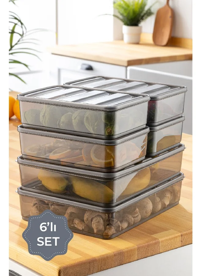 Vienev 6-Piece Bella Refrigerator Organizer Anthracite 2x(3.5 Liter) 4x(1.75 Liter)