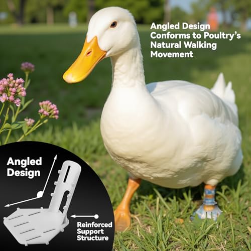 Verigud 4 Sizes Poultry Leg Support Kit Broken Foot Holder for Chicken Bird Duck Goose - Image 3
