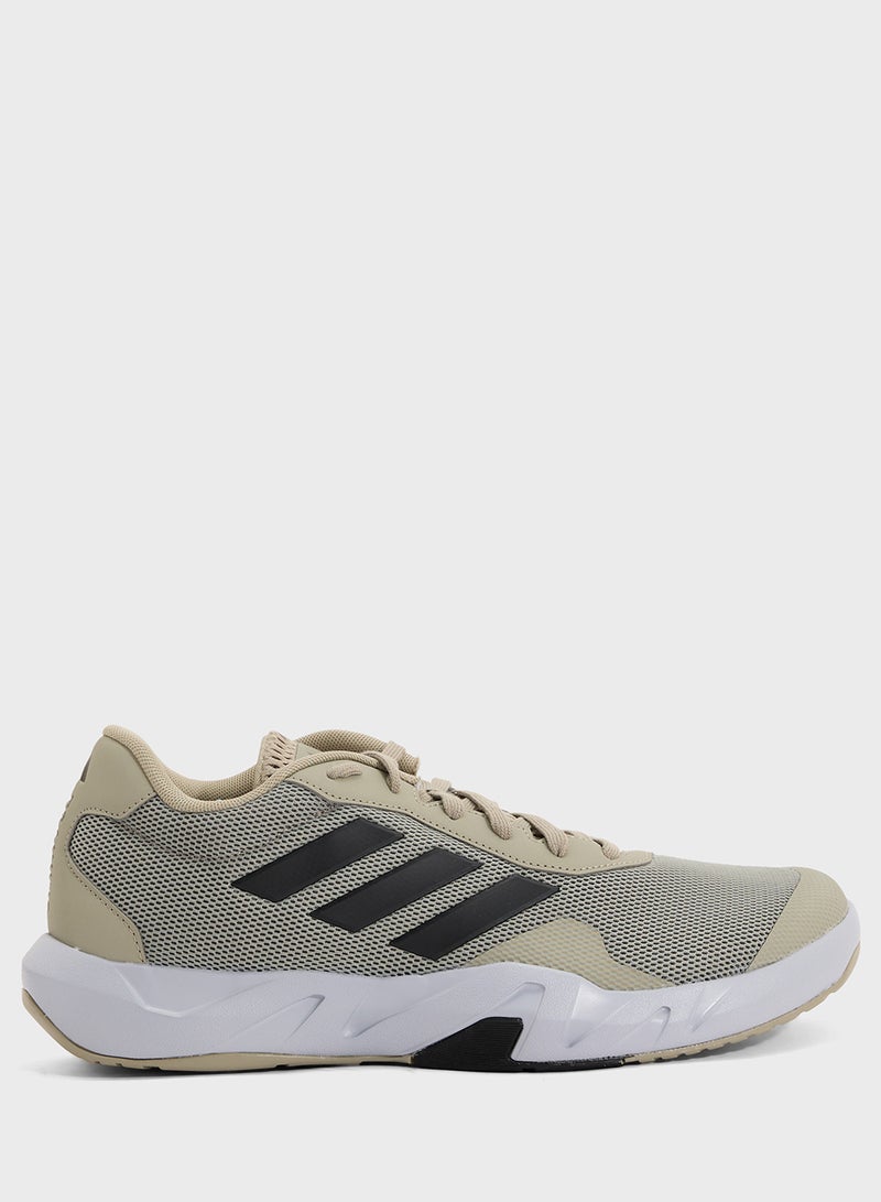 Amplimove Trainer