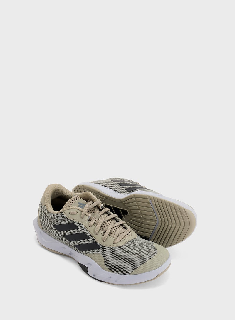 Amplimove Trainer