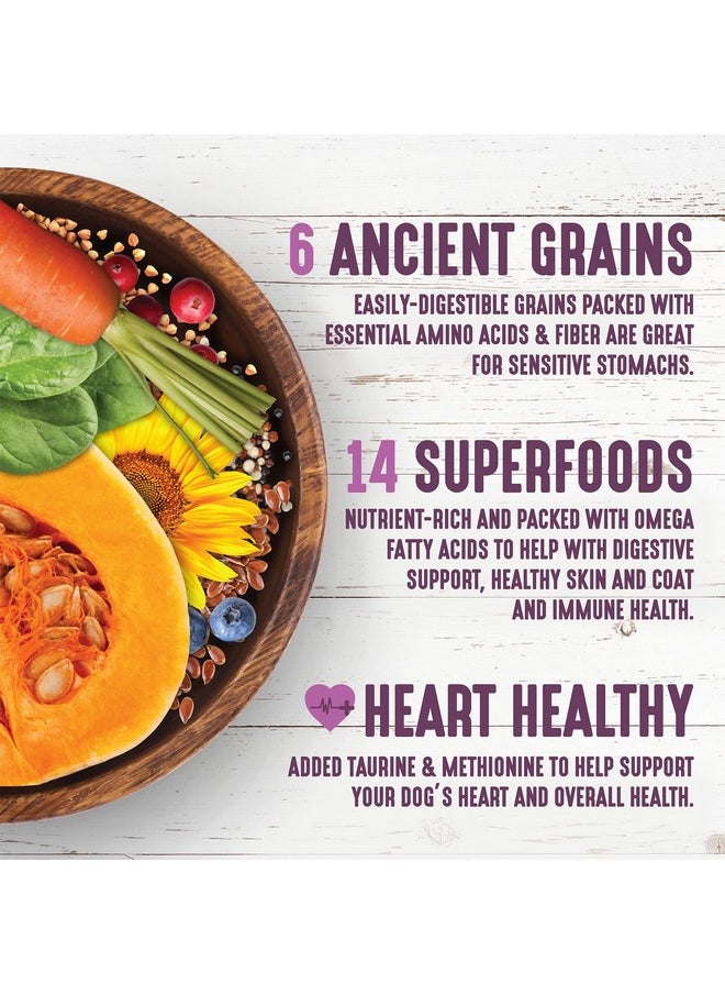 Earthborn Holistic Unrefined Roasted Lamb with Ancient Grains & Superfoods Dry Dog & Puppy Food, 4 lb., (Model: 1710489)  - Image 3