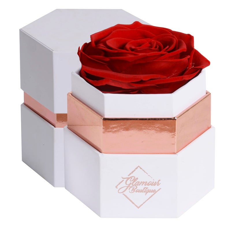 GLAMOUR BOUTIQUE GLAMOUR BOUTIQUE Eternal Preserved Roses in a Box  Flowers Forever Rose Forever in a Box for Wife Birthday Gifts for Her Single Rose Red 