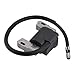 Panari 591459 Ignition Coil Magneto Armature for BS 492341 798853 715231 690248 495859 491312 490586 - Image 2