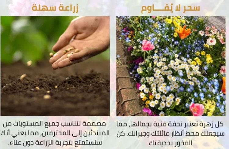 Gardener-Recommended Seasonal Flower Collection for All Soil Types - Image 5