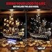 BRIKSMAX 20 Light Kit Compatible with Lego Icons Captain Jack Sparrows Pirate Ship 10365 Building Sets LED Lighting Kits Accessories Only CableHiding Tech for Display Gifts Collectors - Image 4