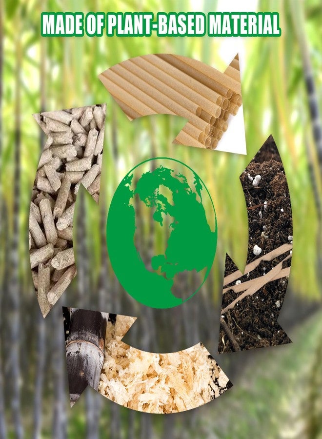 HANSGO Sugarcane Straws, 200PCS Drink Straws Disposable for Hot Cold Drinks, Coffee, Cocktail, Juice Home Favor, The Beach Party, Natural Brown - Image 3