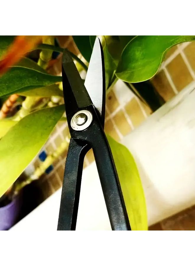 Black Garden Pruning Shears for Potted Plants Bonsai Small Branch Trimming Tool 1pc - Image 5