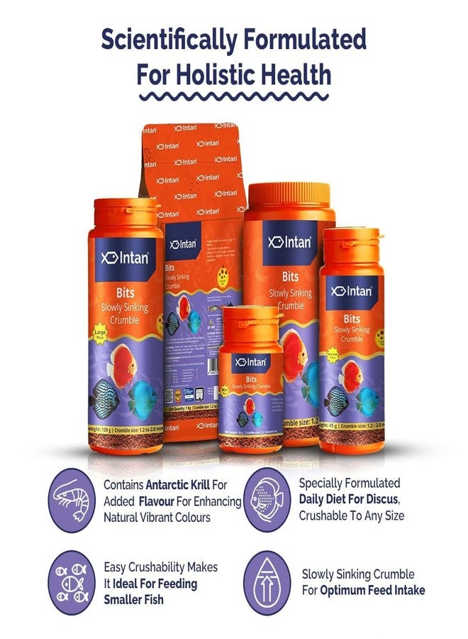 كينكو طعام أسماك كينكو المائي إنتان بتس، بطيء الغرق وقابل للتفتيت | طعام مفتت لأسماك الديسكس، والدانيو، والبارب، وأسماك قوس قزح | عبوة كبيرة 375 جم، حجم الفتات من 1.2 إلى 2.0 مم قطراً، عبوة واحدة (جامبو 375 جم) - Image 5