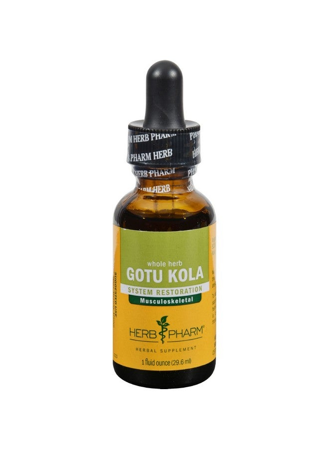 Herb Pharm Certified Organic Gotu Kola Liquid Extract for Musculoskeletal System Support, 1 Fl Oz - Image 1