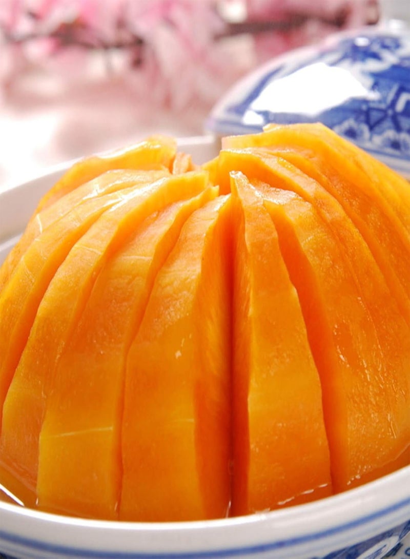 جي جوت نباتات زهور الحديقة الخضراء - 10 بذور قرع الكمثرى ثنائية اللون، مناسبة لحديقة المنزل أو الفناء الخلفي أو ديكور النباتات الكرمة - بذور قرع الكمثرى - Image 5