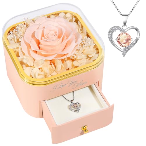 Beferr Mothers Day Forever Rose with Necklace for Mom Birthday Gifts Preserved Roses Eternal Flower for Delivery Fresh Flowers Gifts for Mother Wife Her Grandma Sister Daughter Girls Friends - Image 1