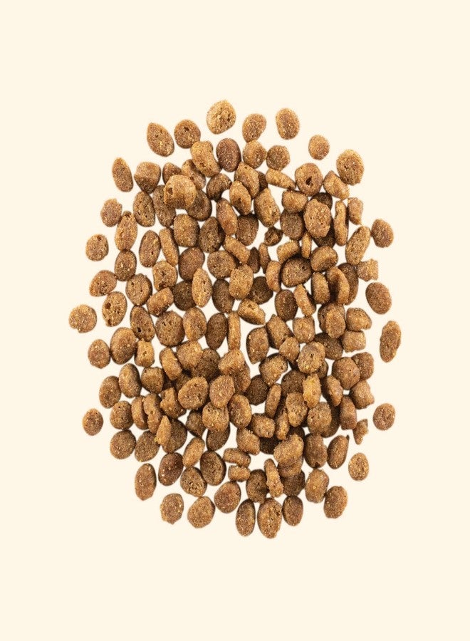 GATHER Free Acres Free-Run Chicken Grain-Free & Gluten-Free Dry Cat Food, Healthy Kibble Made with USDA Certified Organic & Non-GMO Ingredients, for Adults & Seniors, 6 lb Bag - Image 2