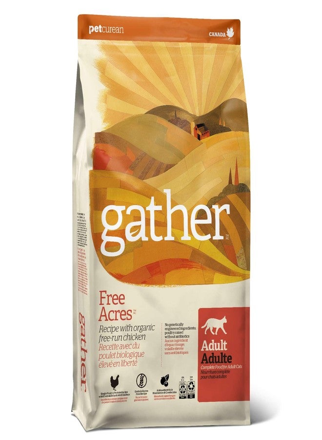 GATHER Free Acres Free-Run Chicken Grain-Free & Gluten-Free Dry Cat Food, Healthy Kibble Made with USDA Certified Organic & Non-GMO Ingredients, for Adults & Seniors, 6 lb Bag - Image 1