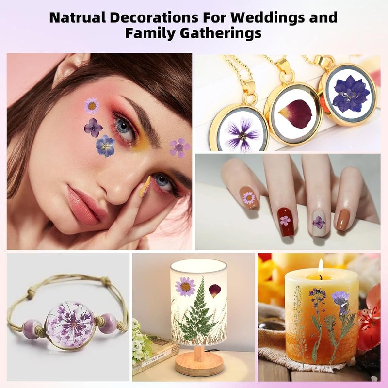 ZMRU 12“ Large Bulk Dried Pressed Flowers for Glass Frame, Real Dry Natural Flower Leaf for Resin Mold, Cake Decor, Holiday Decorations, Phone Cases, Invitations (Purple Haze) - Image 5