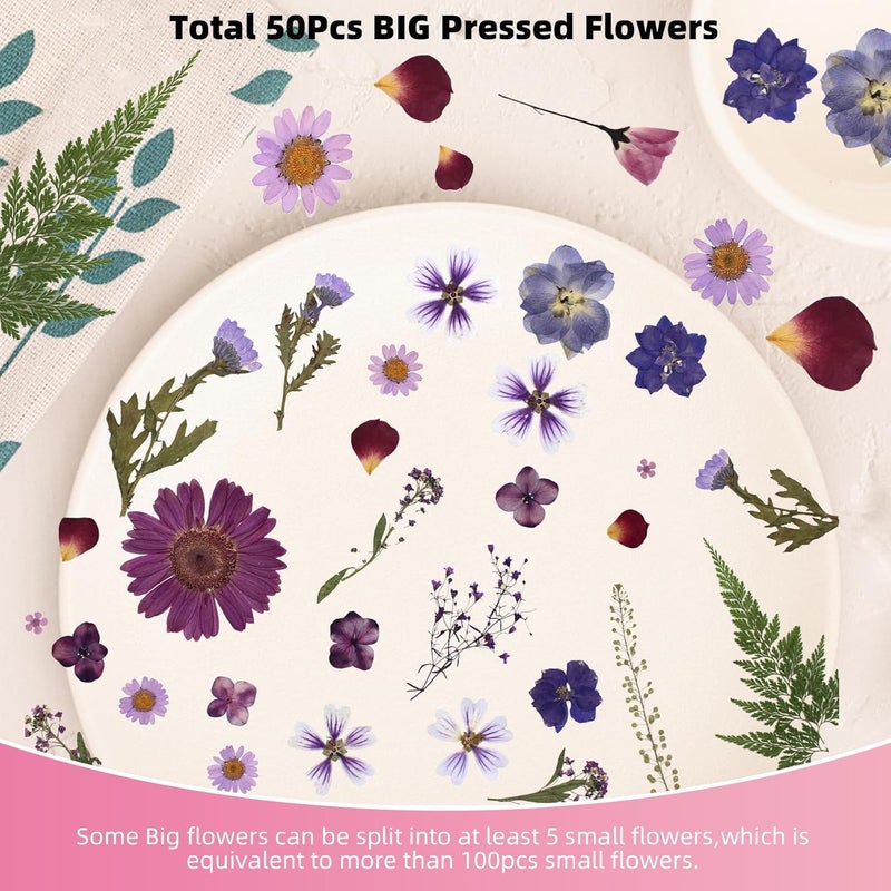 ZMRU 12“ Large Bulk Dried Pressed Flowers for Glass Frame, Real Dry Natural Flower Leaf for Resin Mold, Cake Decor, Holiday Decorations, Phone Cases, Invitations (Purple Haze) - Image 4