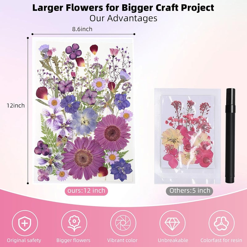 ZMRU 12“ Large Bulk Dried Pressed Flowers for Glass Frame, Real Dry Natural Flower Leaf for Resin Mold, Cake Decor, Holiday Decorations, Phone Cases, Invitations (Purple Haze) - Image 2