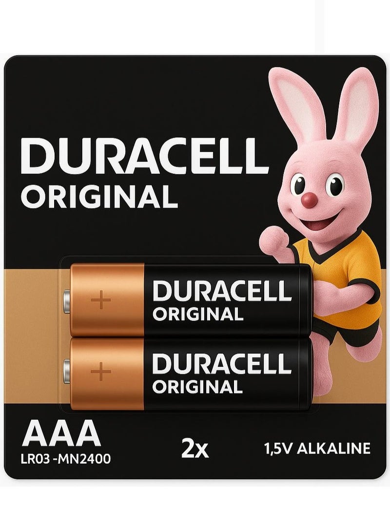 Duracell 2 -Piece AAA Batteries - Image 1