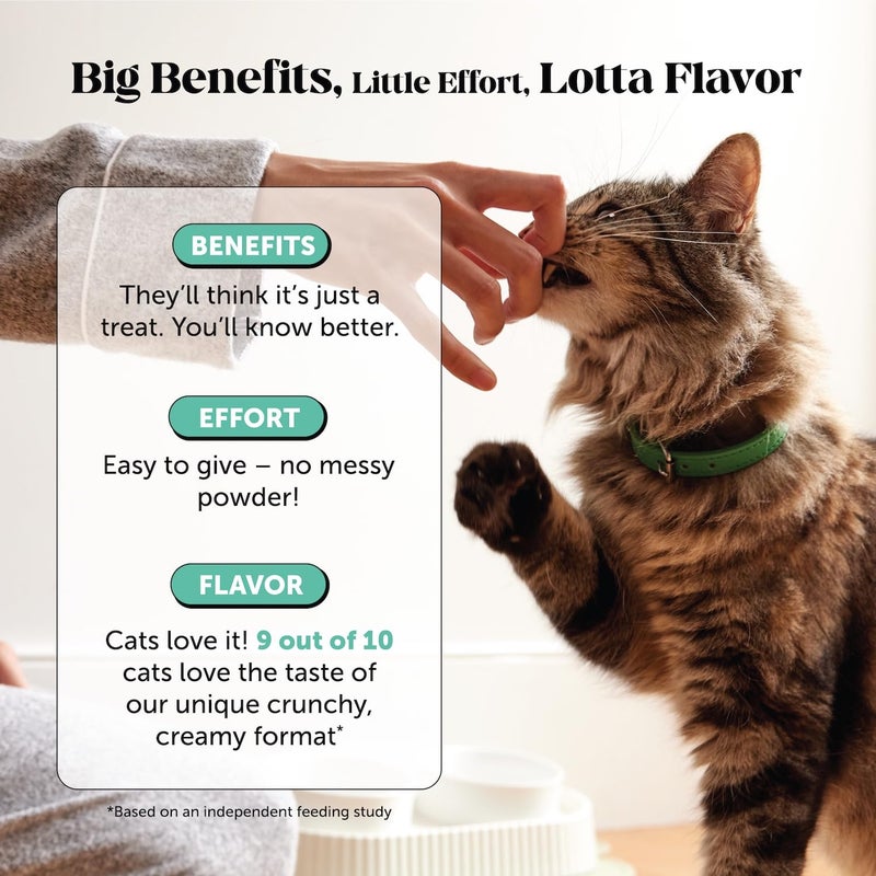 Pet Honesty Fresh Breath Dental Bites for Cats â€“ Crunchy & Creamy Cat Dental Treats for Fresh Breath, Tartar & Plaque Control â€“ Dual-Texture Cat Oral Care Bites for Bright Teeth & Healthy Gums â€“ 30 Day Supply - Image 4