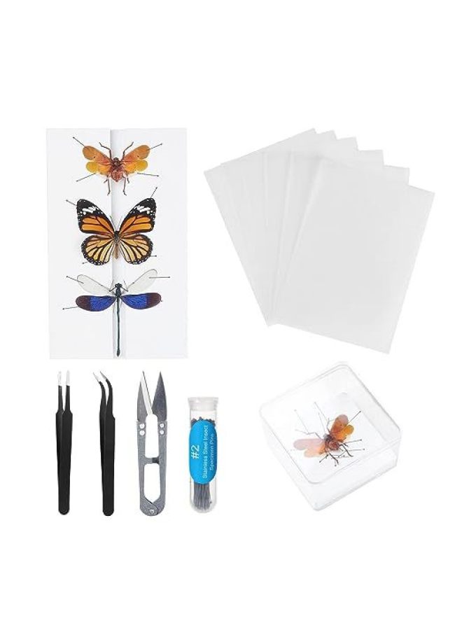 Butterfly Specimen Handmade Diy Production Materials Insect Needle Spread Wing Board Insect Specimen Box Tool Set Complete Set-Specifications:Suit  - Image 1