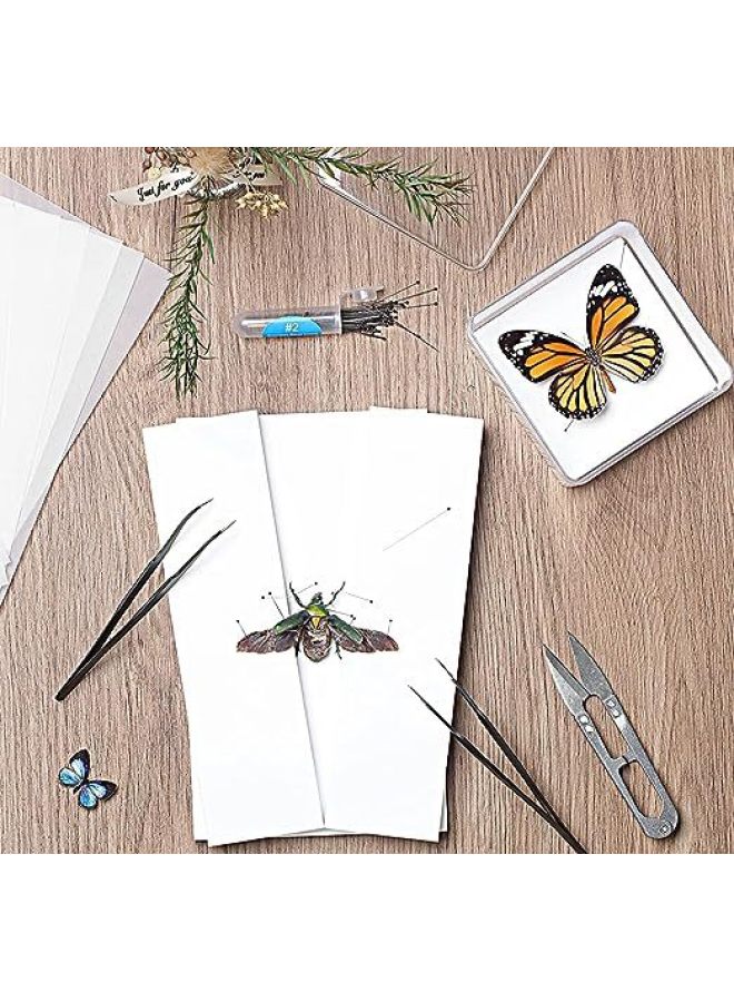 Butterfly Specimen Handmade Diy Production Materials Insect Needle Spread Wing Board Insect Specimen Box Tool Set Complete Set-Specifications:Suit  - Image 3