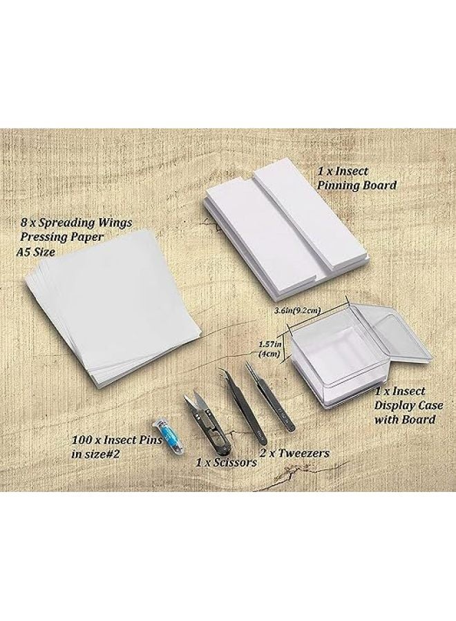 Butterfly Specimen Handmade Diy Production Materials Insect Needle Spread Wing Board Insect Specimen Box Tool Set Complete Set-Specifications:Suit  - Image 4