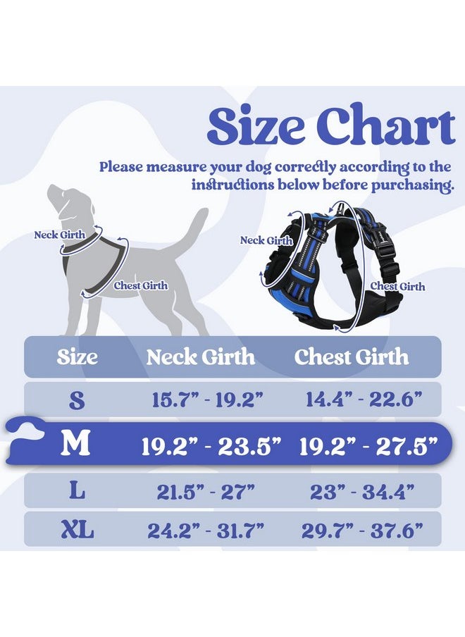 rabbitgoo Dog Harness Medium Sized, No Pull Pet Harness with 3 Buckles, Adjustable Soft Padded Dog Vest with Instant Control Handle, Easy Walking Reflective Pet Vest for Medium Dogs, Blue, M - pzsku/Z5011F46721C850084DAAZ/45/_/1737031641/32bd8f13-7d8d-48c6-ba20-703e707410e3