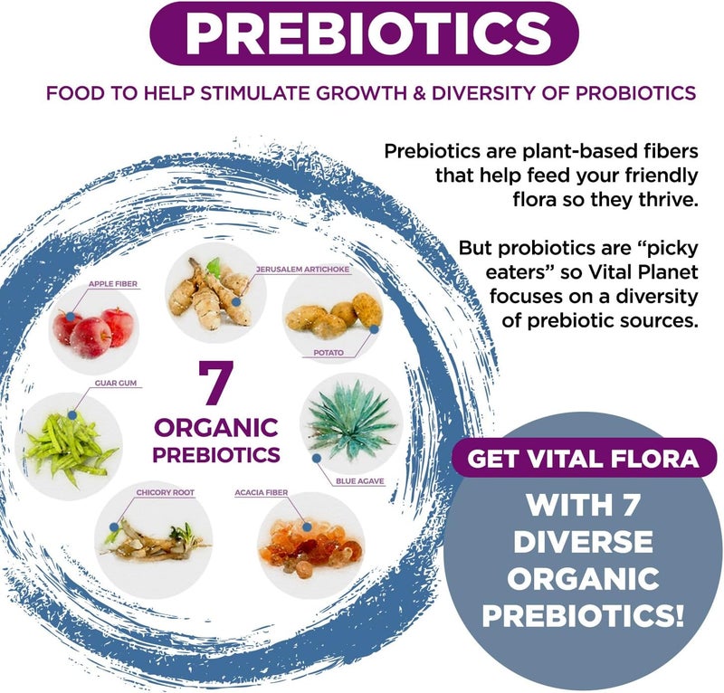 Vital Planet  Vital Flora Probiotics for Women Over 55 Daily Shelf Stable Probiotic 60 Billion CFU 60 Diverse Strains 7 Organic Prebiotics Immune Support and Digestive Health 60 Capsules - Image 5