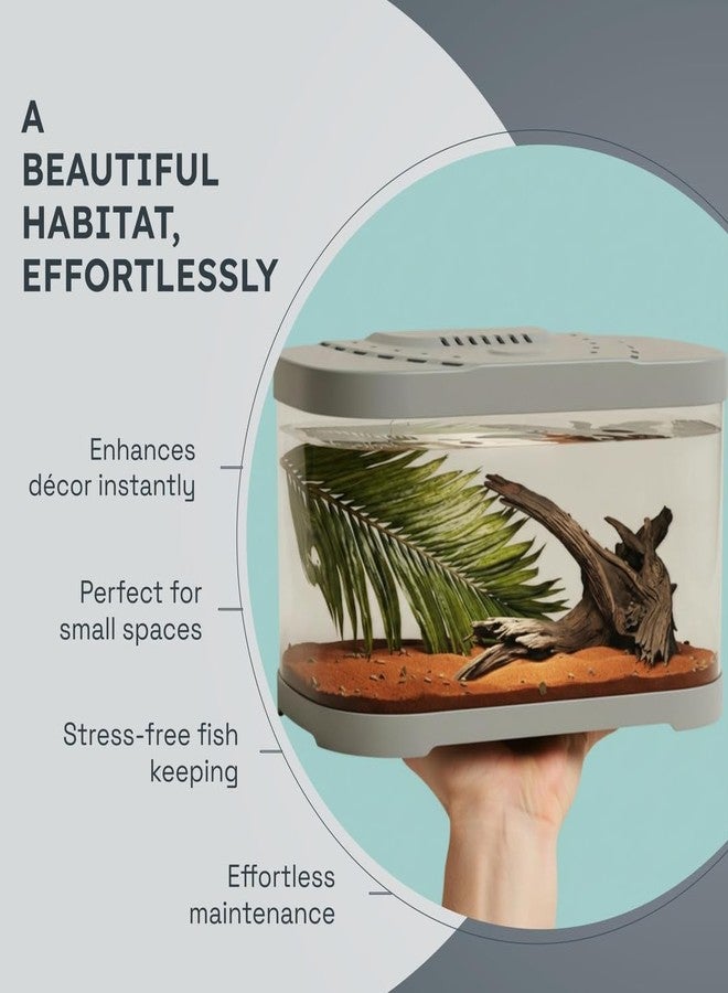 Rizopets Premium Round Fish Aquarium Tank, Complete Setup with LED Light & Built-in Filter, Modern Space-Saving Design with Top Lid, White, Small (30 cm) - Image 4