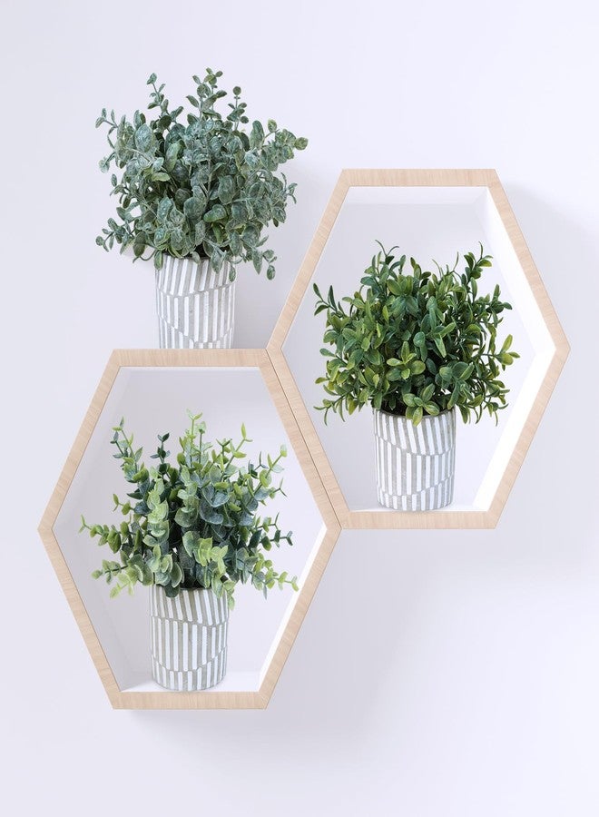 Winlyn 3 Pcs Artificial Eucalyptus Boxwood Plants in Grey Textured Cylinder Concrete Planter Pots Small Potted Plants Faux Greenery Decorations for Modern Farmhouse Home Office Bookshelf Tabletop - Image 5