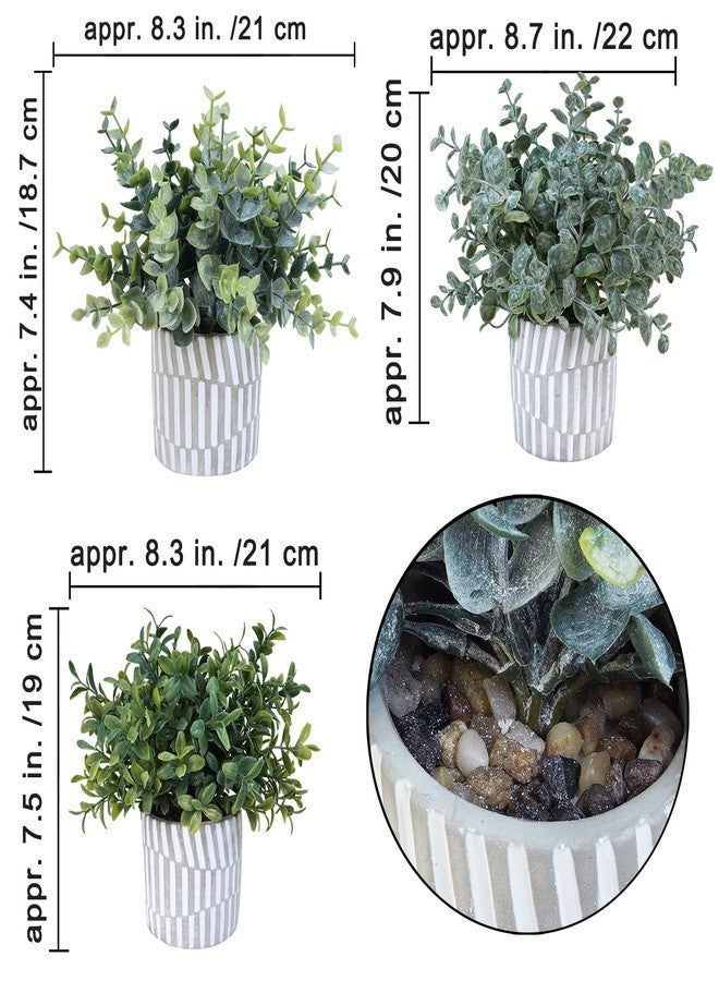 Winlyn 3 Pcs Artificial Eucalyptus Boxwood Plants in Grey Textured Cylinder Concrete Planter Pots Small Potted Plants Faux Greenery Decorations for Modern Farmhouse Home Office Bookshelf Tabletop - Image 2