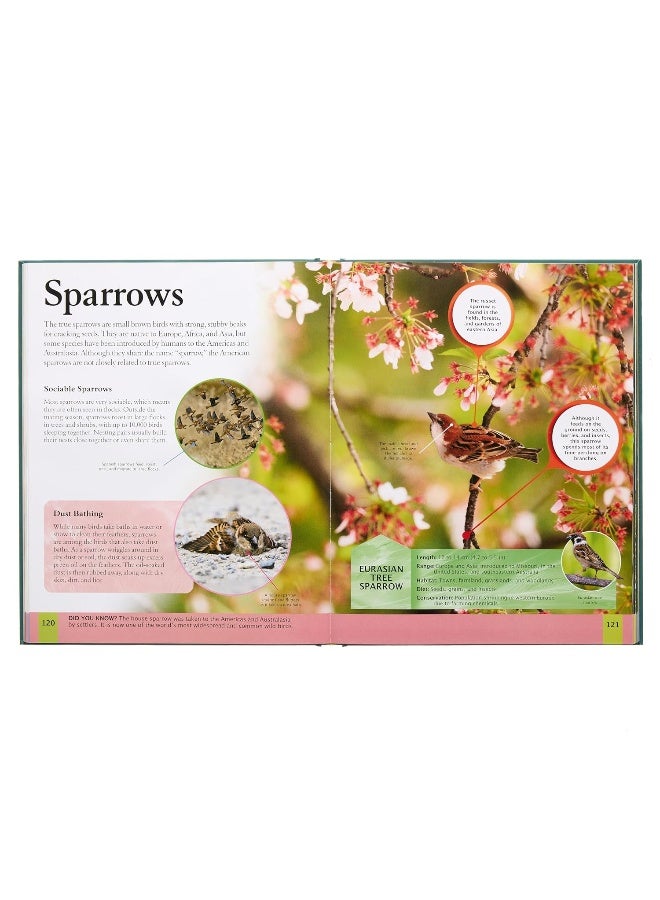 The New Animal Encyclopedia: Mammals, Birds, Reptiles, Sea Creatures, and More! - Image 3