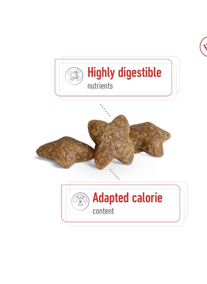 ROYAL CANIN حجم صحة التغذية للبالغين الصغار 2 كجم - Image 2