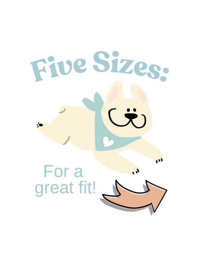 Birthday Dood Dog Bandanna pet Bandana Celebration Party paw-ty (X-Large) - Image 4