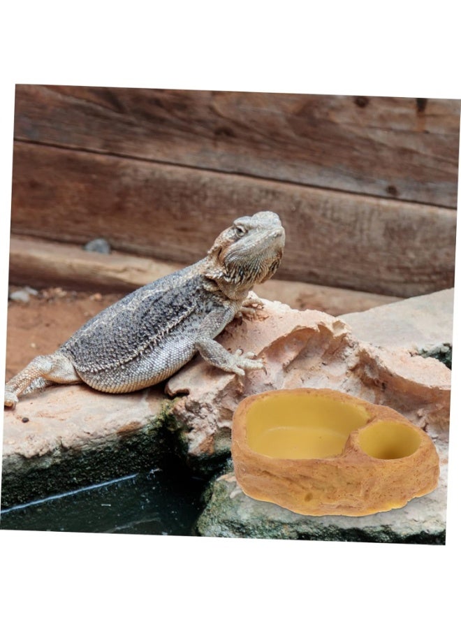 حوض تغذية الزواحف، حامل طعام وماء عميق للسلاحف والسحالي والثعابين، تصميم آمن - Image 5