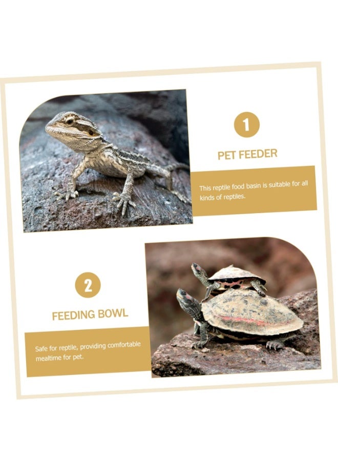 حوض تغذية الزواحف، حامل طعام وماء عميق للسلاحف والسحالي والثعابين، تصميم آمن - Image 4