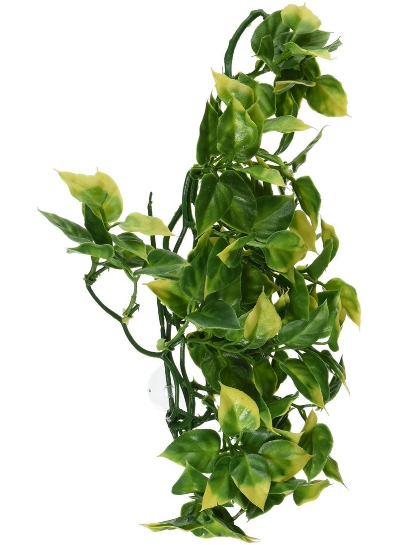 Exo Terra Exo Terra Plastic Terrarium Plant, Medium, Amapallo  - Image 1