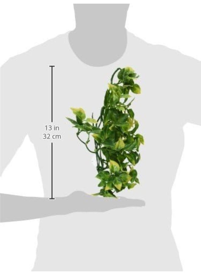 Exo Terra Exo Terra Plastic Terrarium Plant, Medium, Amapallo  - Image 2