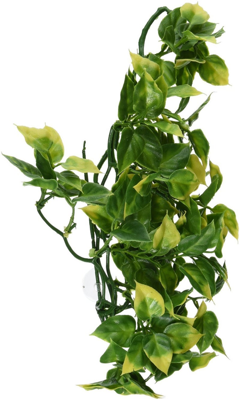 Exo Terra Plastic Terrarium Plant, Medium, Amapallo - Image 1