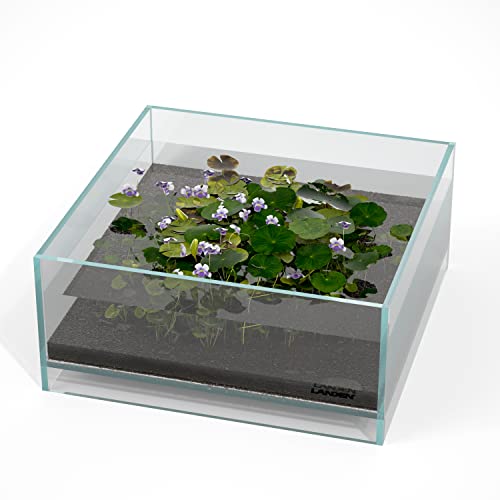 LANDEN Glass Air Aquarium Tank Multi-Scene Landscape Aquarium, 1.6Gallon Rimless Low Iron Shallow Tank,10.63" W×10.63" D×4.72" H (27cmx27cmx12cm) 5mm Thickness - Image 1