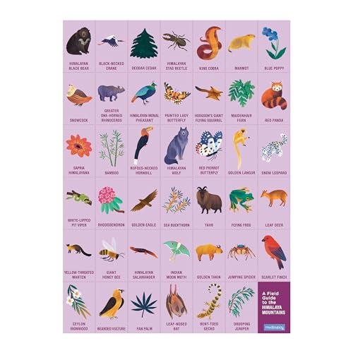 Mudpuppy in The Mountains — 64 Piece Search & Find Puzzle Jigsaw Puzzle Featuring Diverse Himalayan Mountain Animals and Over 40 Hidden Images to Find for Ages 4+ - Image 3