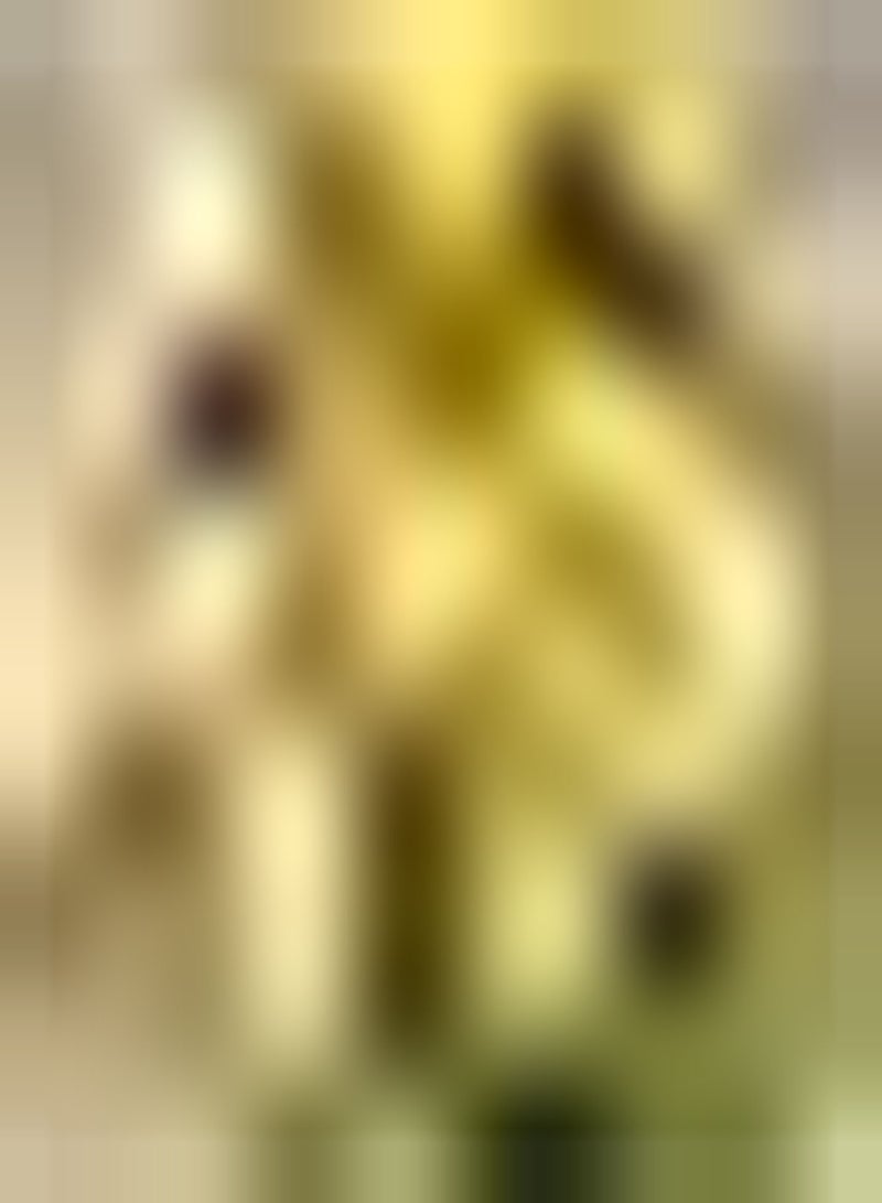 GGOOT 10pcs Gele Ranunculus Bollen Meerjarige Boterbloem Bollen Ingemaakte Bloembollen Geschikt voor Bruidsboeketten of Bloemstukken - Image 1