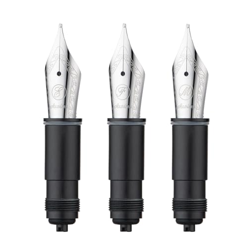Asvine 3 PCS Fountain Pen Replaced Nib for P36, P50, P80, and V200 Series, Silver #6 EF/F/M Nib Set - Image 1